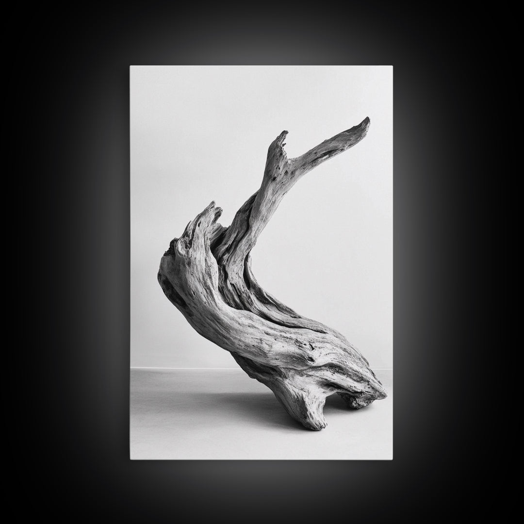 Driftwood Sculpture, wabi sabi art, rustic decor, minimalist art, botanical prints, farmhouse art, framed canvas print, living room art