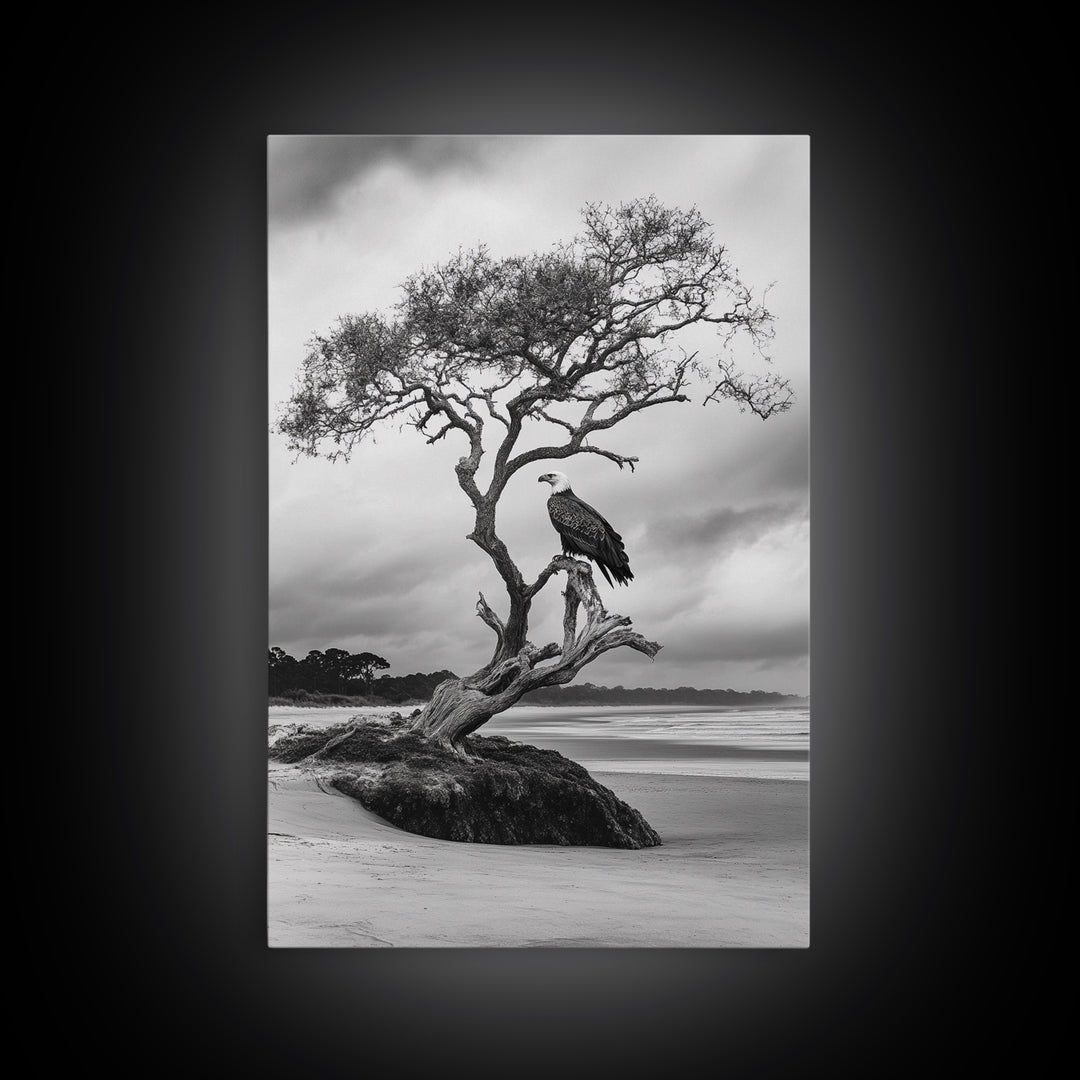 Bald eagle, nature wall art, moody art, wildlife photography, tree art, black and white art, above bed wall art, framed canvas print