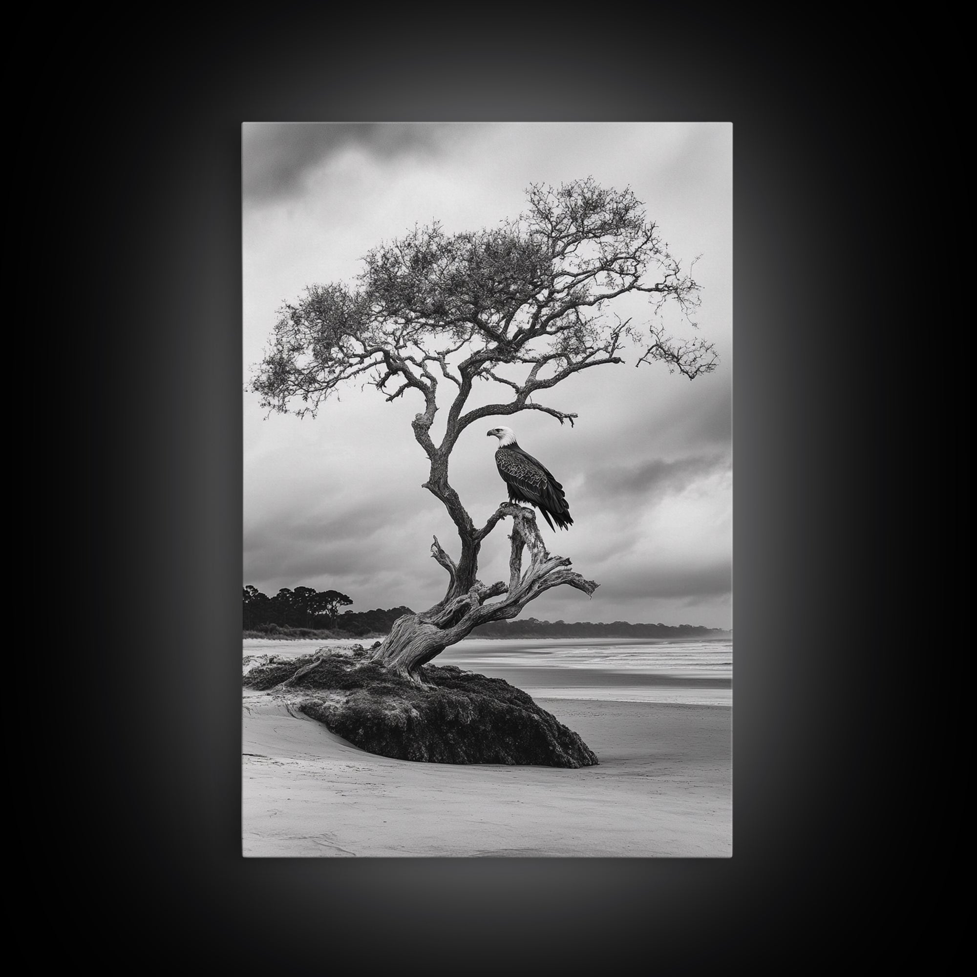 Bald eagle, nature wall art, moody art, wildlife photography, tree art, black and white art, above bed wall art, framed canvas print