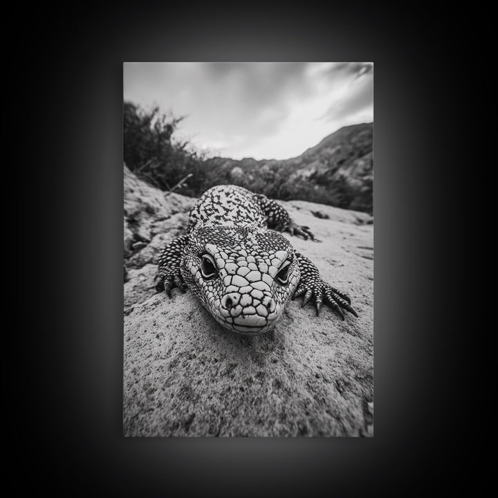 Lizard art, wildlife photography, moody art, desert decor, black and white photography, wabi sabi wall art, framed canvas print, unique gift