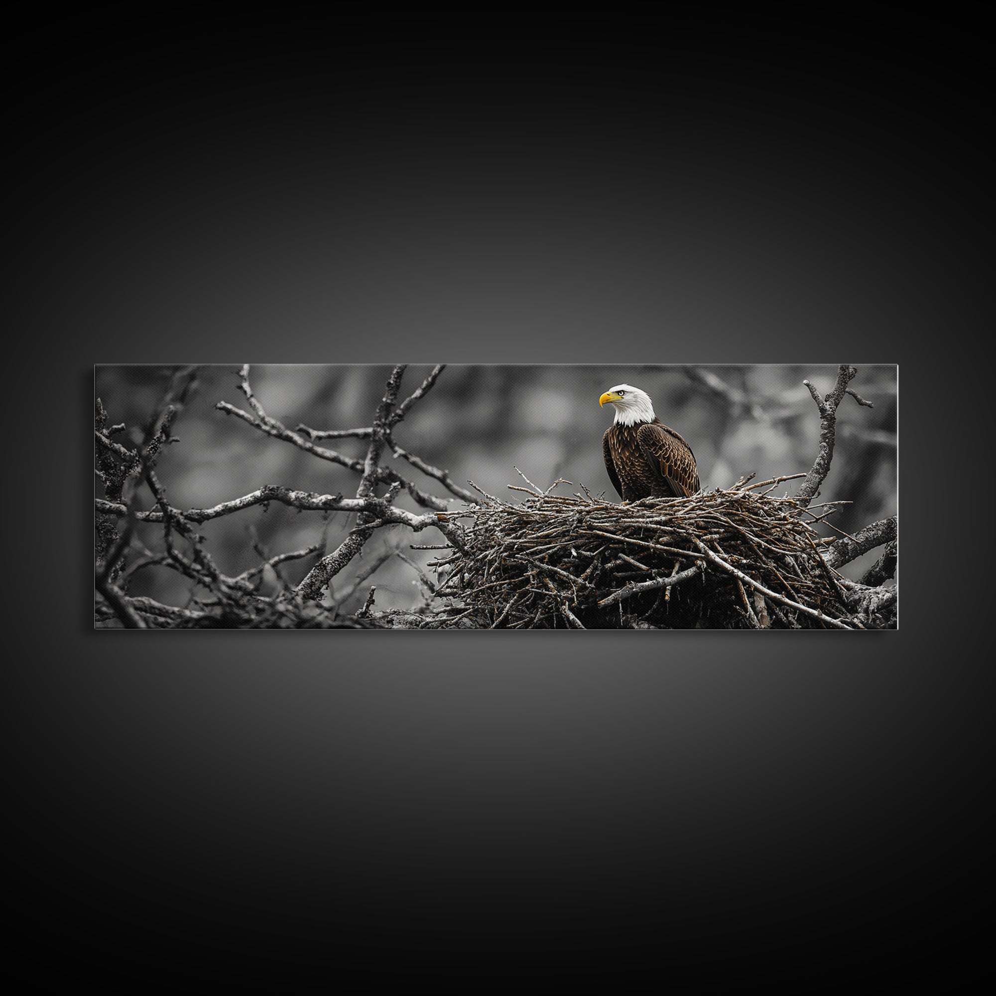 Bald Eagle, Nature Wall Art, Rustic Art, Wildlife Photography, Bird Art, Above Sofa Art, Panoramic Art, Framed Canvas Print