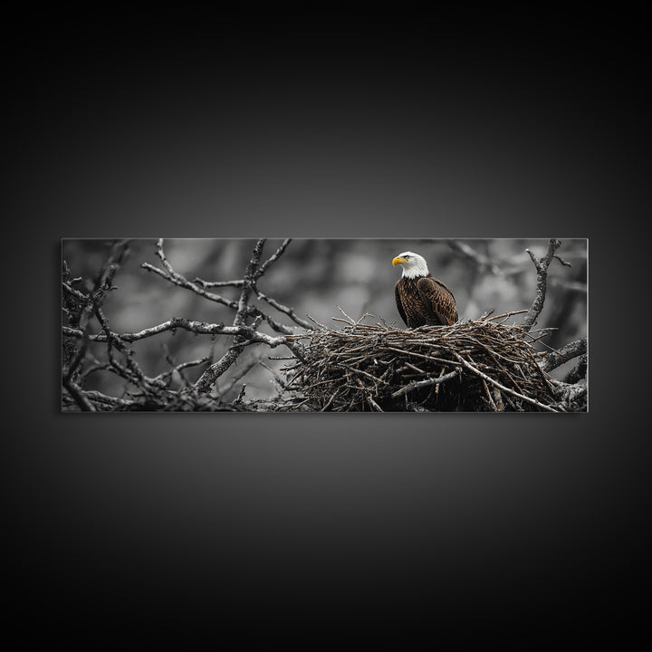 Bald Eagle, Nature Wall Art, Rustic Art, Wildlife Photography, Bird Art, Above Sofa Art, Panoramic Art, Framed Canvas Print