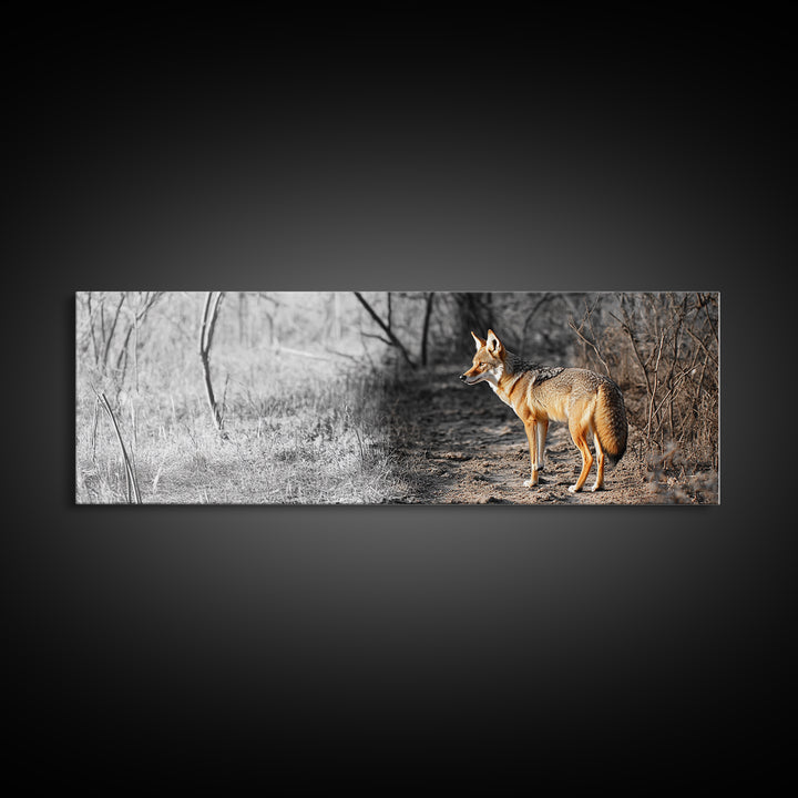 Coyote in Forest, Wildlife Wall Art, Rustic Decor, Nature Art, Moody Art, Extra Wide Art, Panoramic Art, Framed Canvas Print