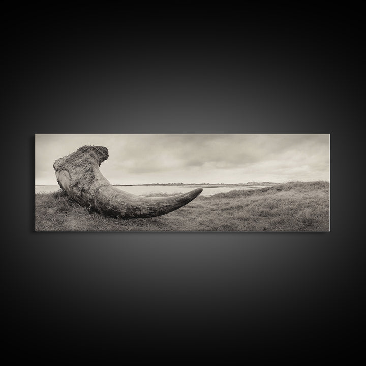 Driftwood Sculpture, Wabi Sabi Art, Canvas Print, Coastal Decor, Rustic Wall Art, Nature Photography, Extra Wide Art, Living Room Art