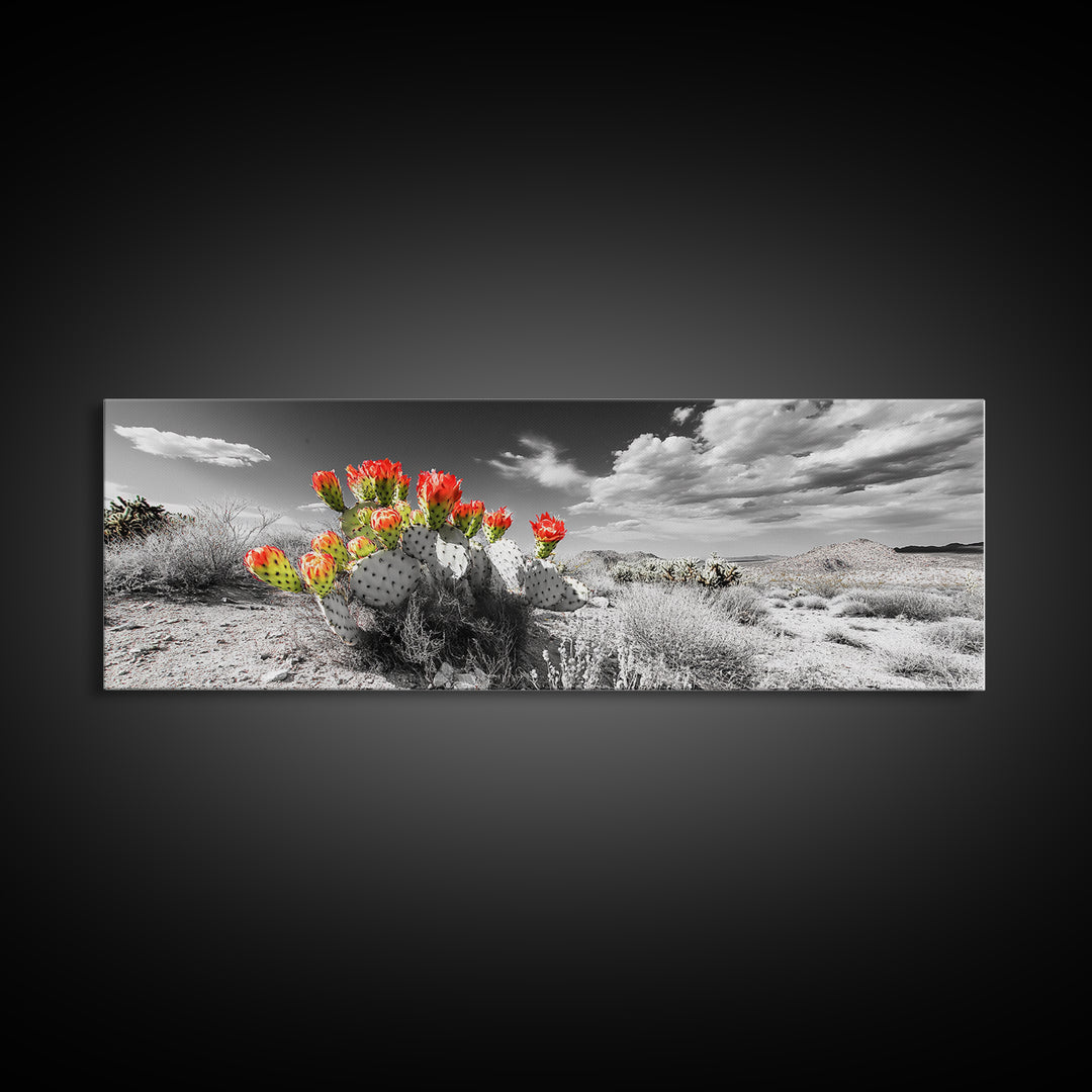 Cactus Blooms, Desert Art, Southwest Wall Art, Botanical Prints, Wildflower Painting, Extra Wide Art, Framed Canvas Print