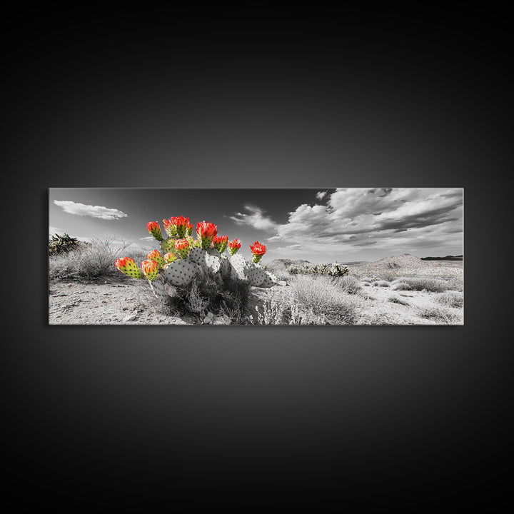 Cactus Blooms, Desert Art, Southwest Wall Art, Botanical Prints, Wildflower Painting, Extra Wide Art, Framed Canvas Print