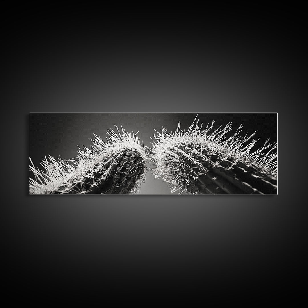 Desert Cactus, southwest wall art, moody art, Joshua tree art, extra wide wall art, nature photography, framed canvas print