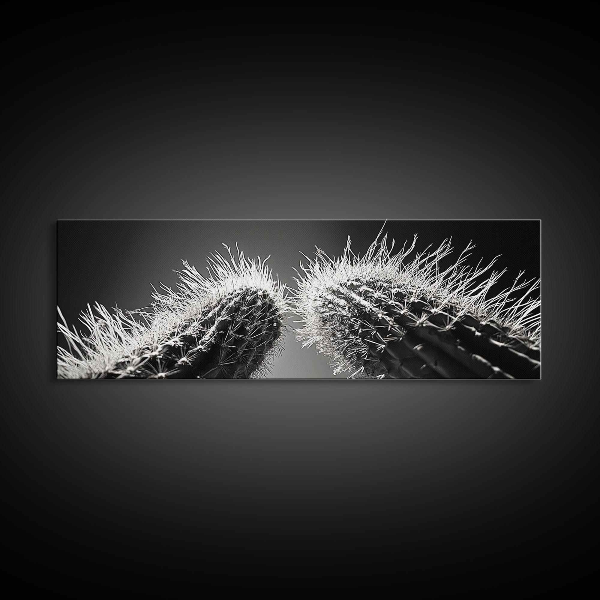 Desert Cactus, southwest wall art, moody art, Joshua tree art, extra wide wall art, nature photography, framed canvas print