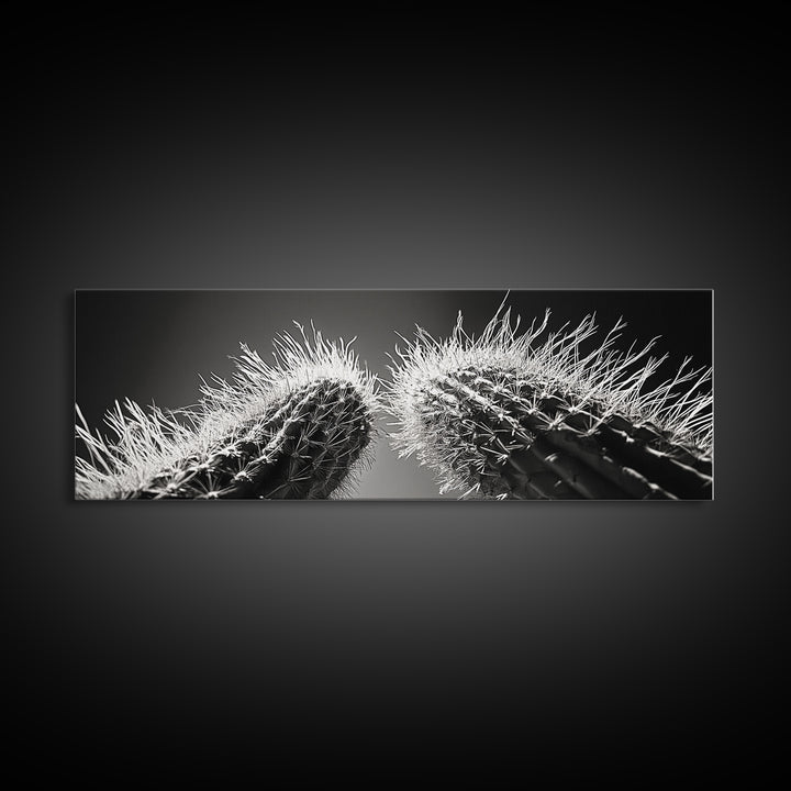 Desert Cactus, southwest wall art, moody art, Joshua tree art, extra wide wall art, nature photography, framed canvas print