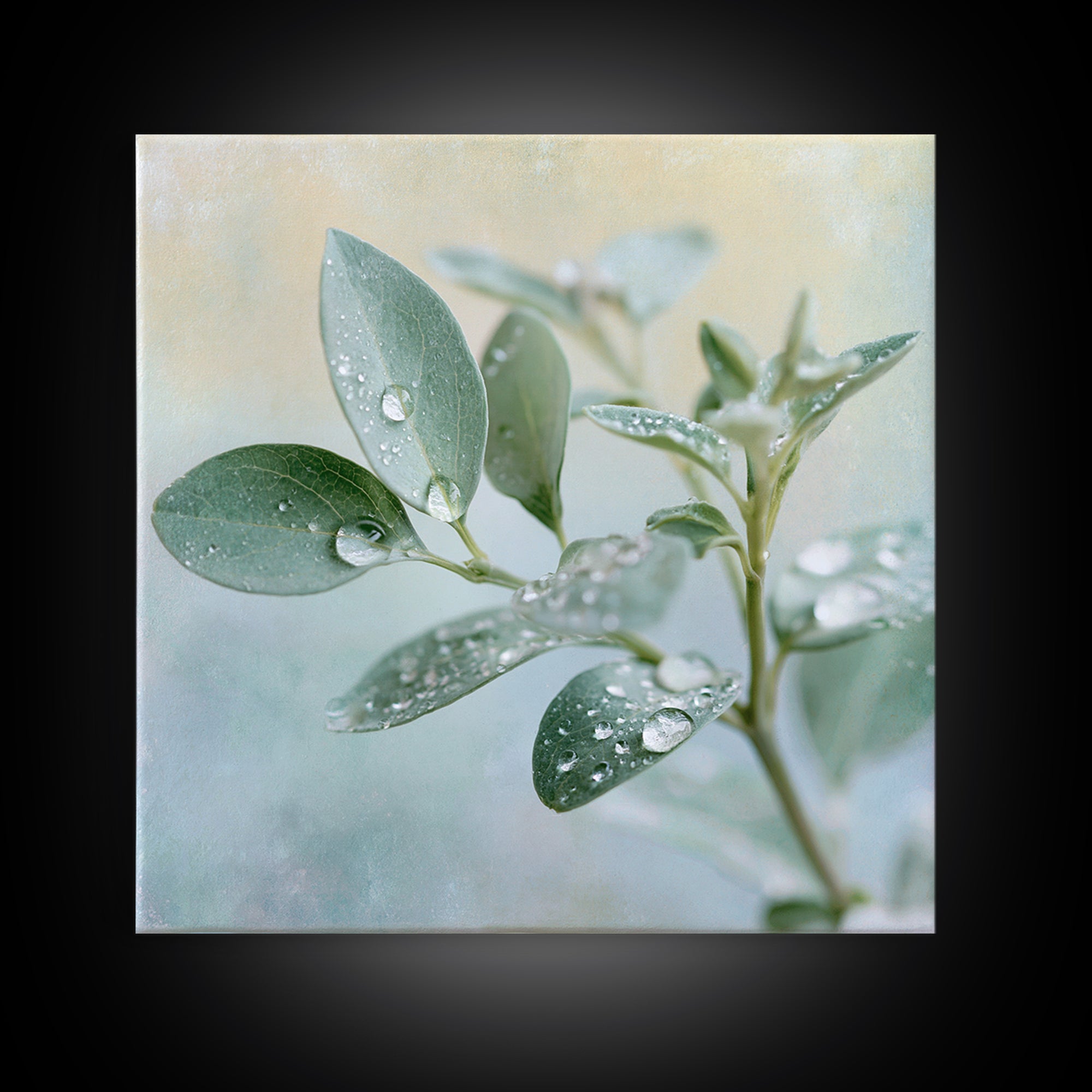 Rain on Leaves Framed Canvas Print, Spa Art, Art Print, Spa Decor, Serenity, Botanical Art, Nature Prints, Travel Poster, SPA-1x1-40