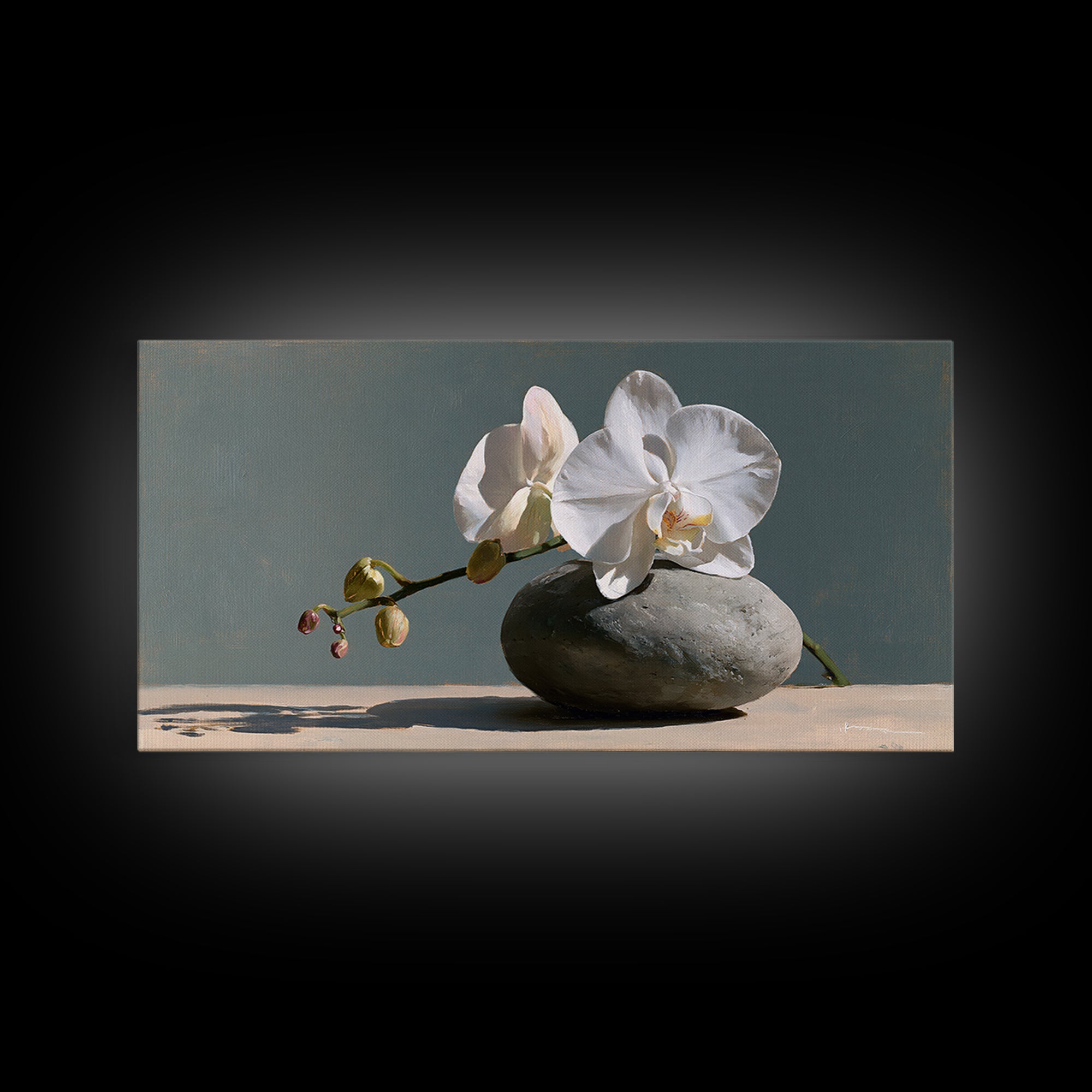 White Orchid on Smooth Gray Stone Canvas Print, Spa Art, Botanical Art, Spa Decor, Fine Art, Serenity, Fashion Wall Art, SPA-2x1-94
