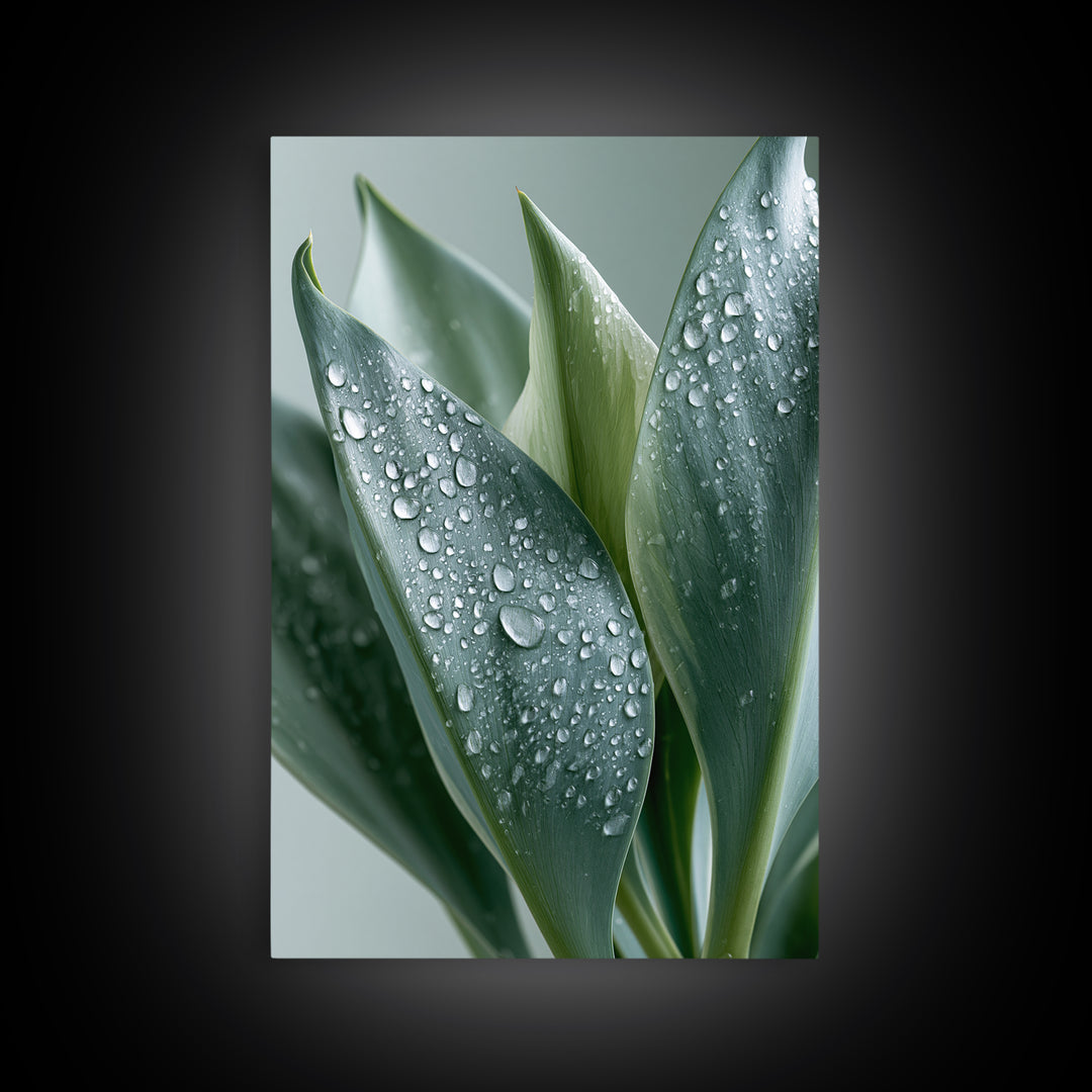Rain on Leaves Framed Canvas Print, Spa Art, Modern Decor, Spa Decor, Fine Art, Serenity, Wall Decor, Printable Wall Art, SPA-2x3-24