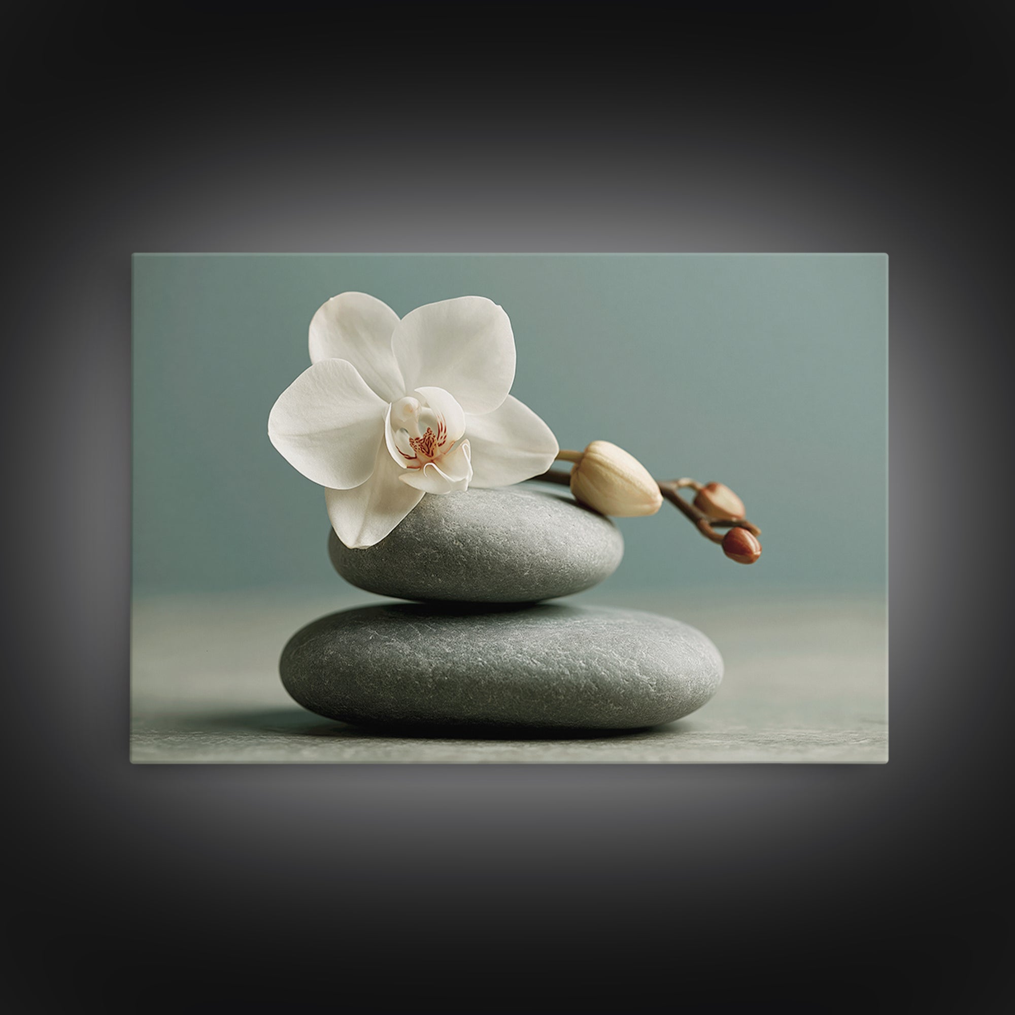 White Orchid on Smooth Gray Stone Framed Canvas Print, Spa Art, Feminine Wall Art, Spa Decor, Serenity, Hair Salon Wall Art, SPA-3x2-6