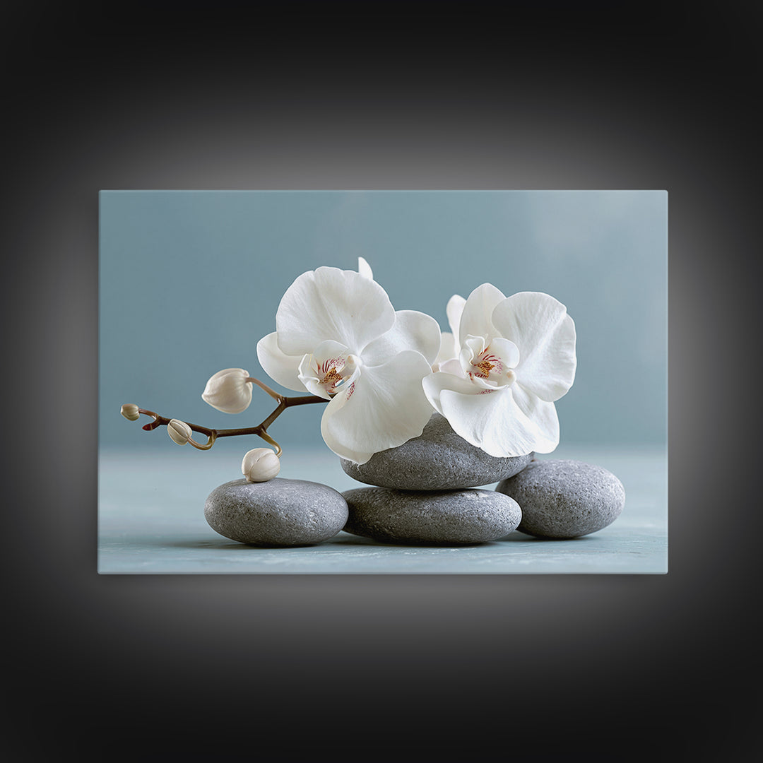White Orchid on Smooth Gray Stone Framed Canvas Print, Spa Art, Tarot Card Art, Spa Decor, Fine Art, Serenity, SPA-3x2-78