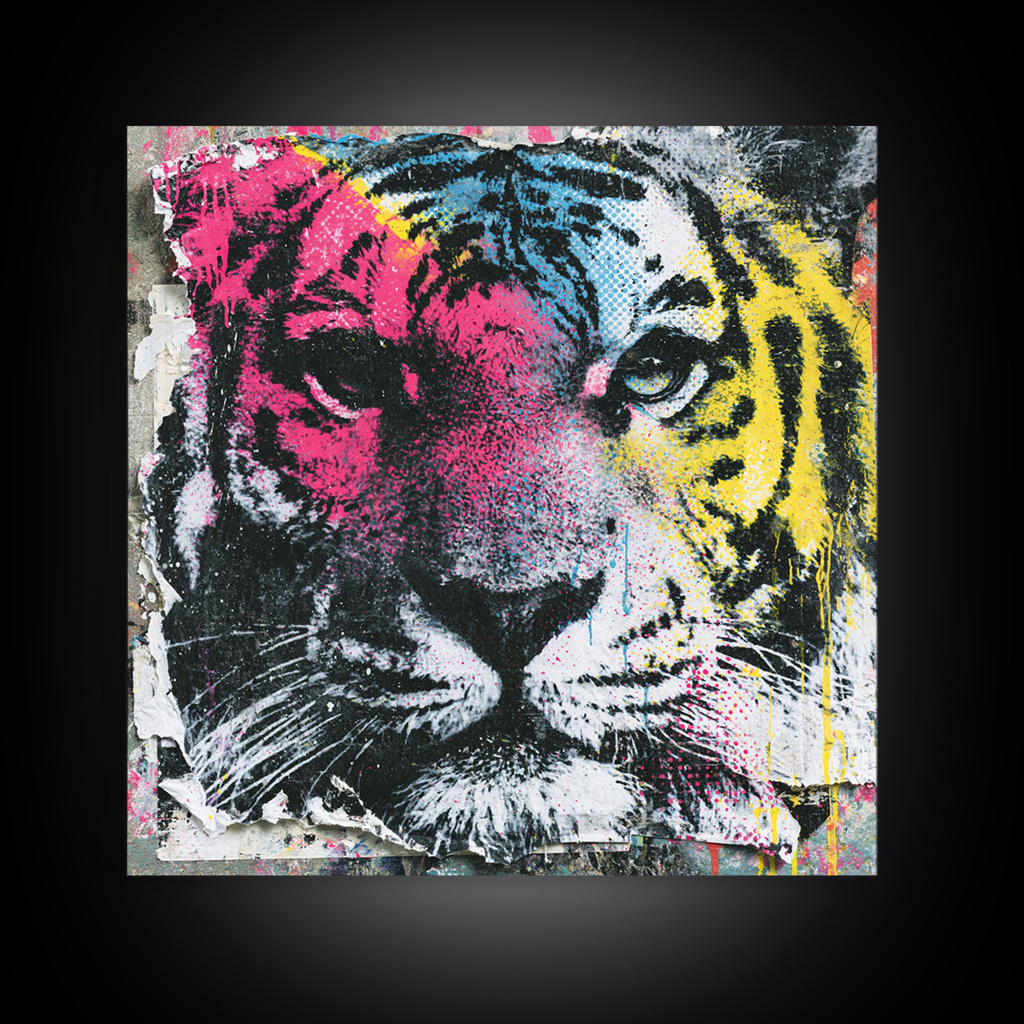 Spray Painted Tiger Face Framed Canvas Print, Street Art, Artwork, Living Room Decor, Fine Art, Urban, Pop Art, Banksy Wall Art, STR-1x1-56