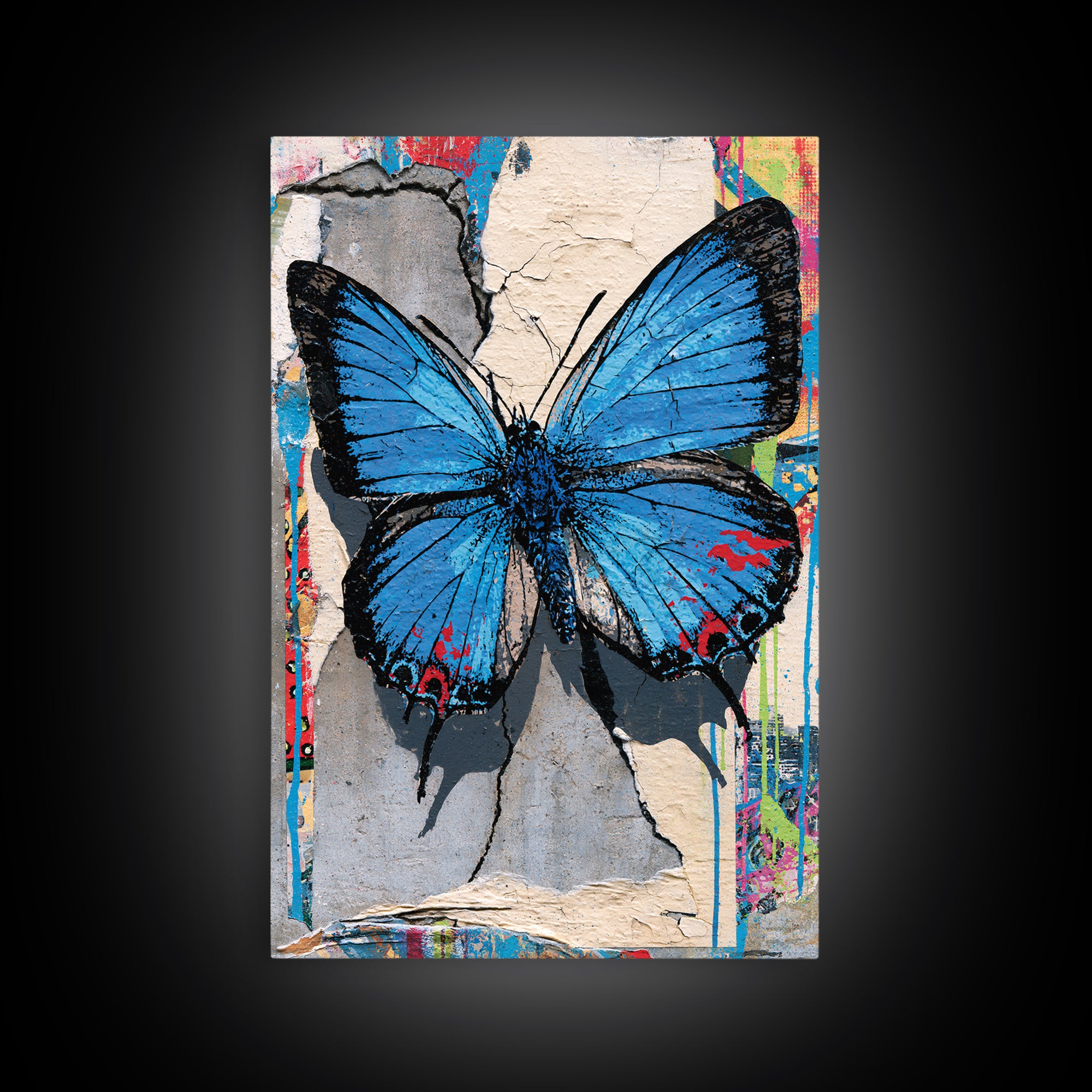 Spray Painted Butterfly on Cracked Concrete Framed Canvas Print, Street Art, Canvas, Living Room Decor, Fine Art, Urban, STR-2x3-55