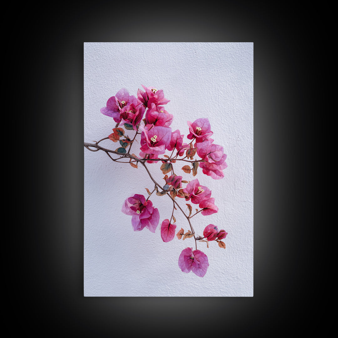 Pink Bougainvillea over White Wall Framed Canvas Print, Tropical Art, Modern Decor, Living Room Decor, Fine Art, Tropic, TRO-2x3-24
