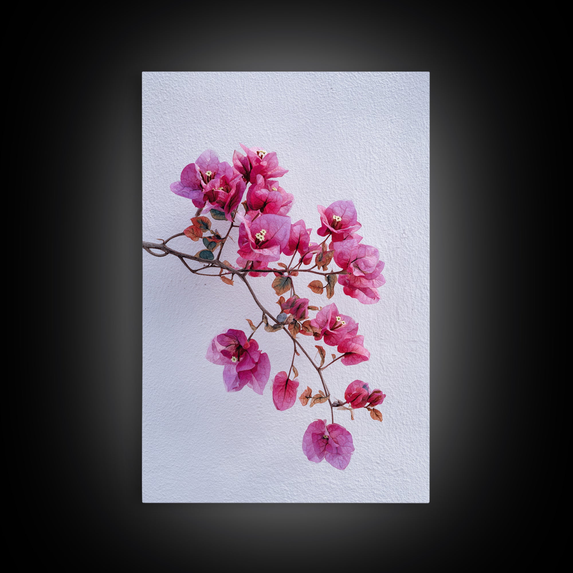 Pink Bougainvillea over White Wall Framed Canvas Print, Tropical Art, Modern Decor, Living Room Decor, Fine Art, Tropic, TRO-2x3-24