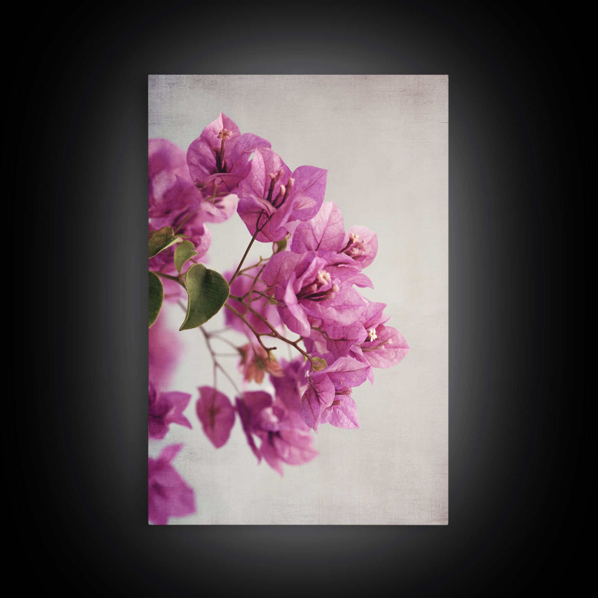 Pink Bougainvillea over White Wall Canvas Print, Tropical Art, Abstract Painting, Living Room Decor, Fine Art, Tropic, TRO-2x3-96