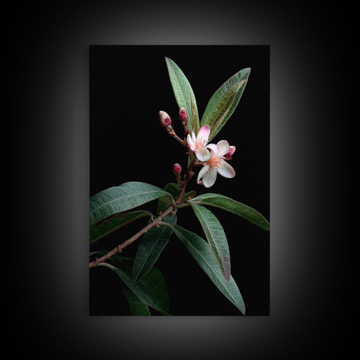 Mango Branch with Leaves and Flowers Framed Canvas Print, Tropical Art, Living Room Decor, Watercolor Art, Tropic, TRO-2x3-98