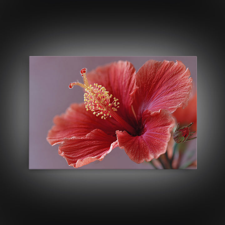 Hibiscus Flower Closeup Framed Canvas Print, Tropical Art, Fine Art Print, Living Room Decor, Watercolor Art, Tropic, TRO-3x2-81