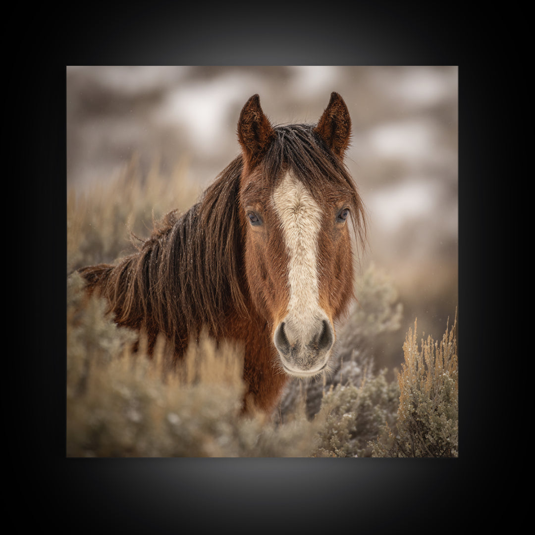 Wild Horse Portrait Framed Canvas Print, Wall Art, Boho Decor, Living Room Decor, Fine Art, Painting, Art Print, WAL-1x1-37