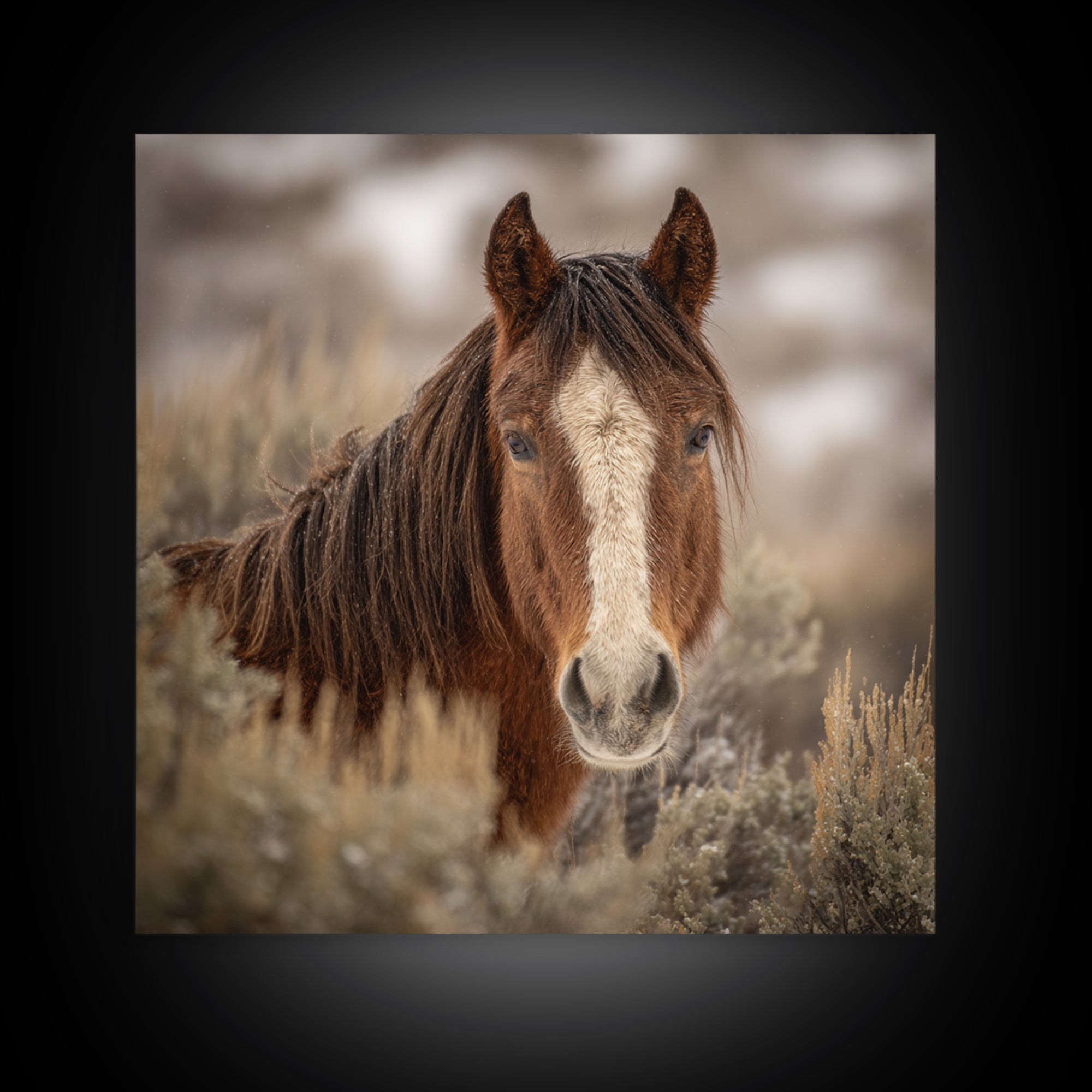 Wild Horse Portrait Framed Canvas Print, Wall Art, Boho Decor, Living Room Decor, Fine Art, Painting, Art Print, WAL-1x1-37