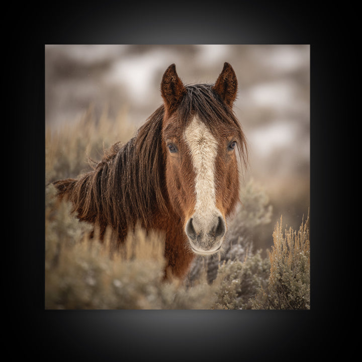 Wild Horse Portrait Framed Canvas Print, Wall Art, Boho Decor, Living Room Decor, Fine Art, Painting, Art Print, WAL-1x1-37