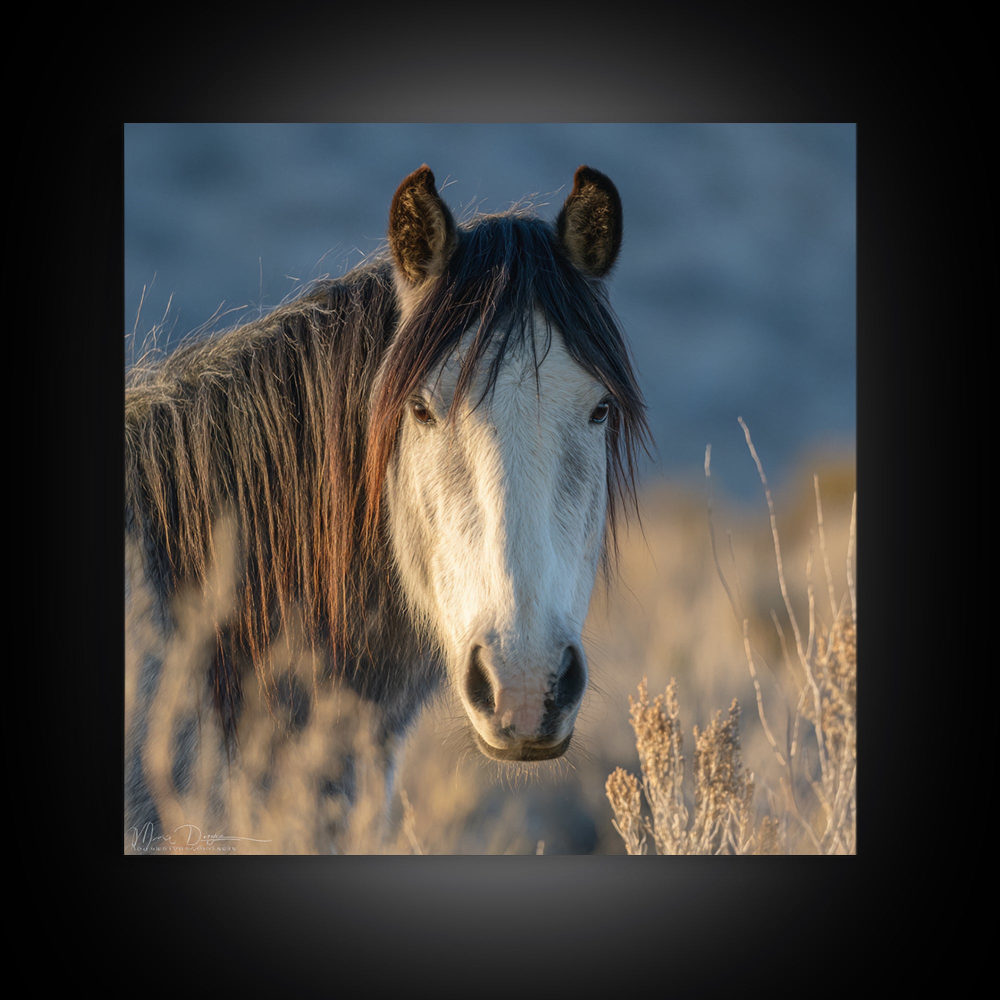 Wild Horse Portrait Framed Canvas Print, Wall Art, Boho Decor, Living Room Decor, Fine Art, Painting, Art Print, WAL-1x1-61