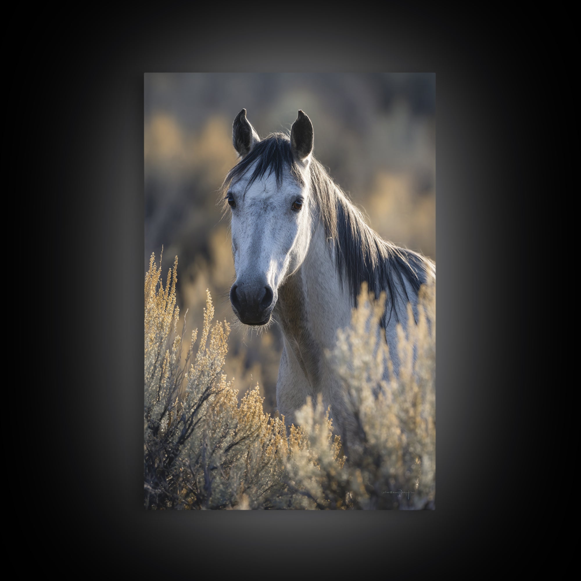 Wild Horse Portrait Framed Canvas Print, Wall Art, Heart, Living Room Decor, Fine Art, Home Decor Gift, Original Art, WAL-2x3-21