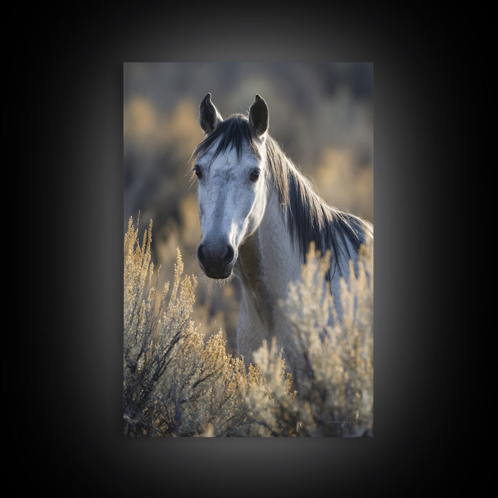 Wild Horse Portrait Framed Canvas Print, Wall Art, Heart, Living Room Decor, Fine Art, Home Decor Gift, Original Art, WAL-2x3-21