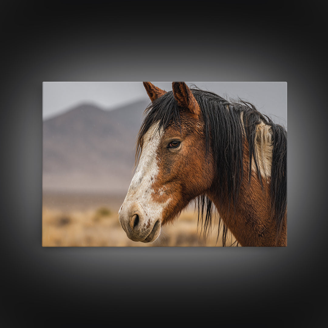 Wild Horse Portrait Framed Canvas Print, Wall Art, Abstract Wall Art, Living Room Decor, Fine Art, Contemporary Art, WAL-3x2-41
