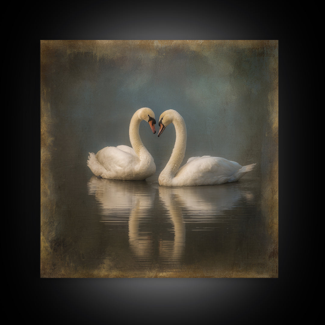 Two Swans Forming a Heart on Dark Canvas Print, Wedding Art, Unique Wedding Gift, Living Room Decor, Fine Art, Romance, WED-1x1-50