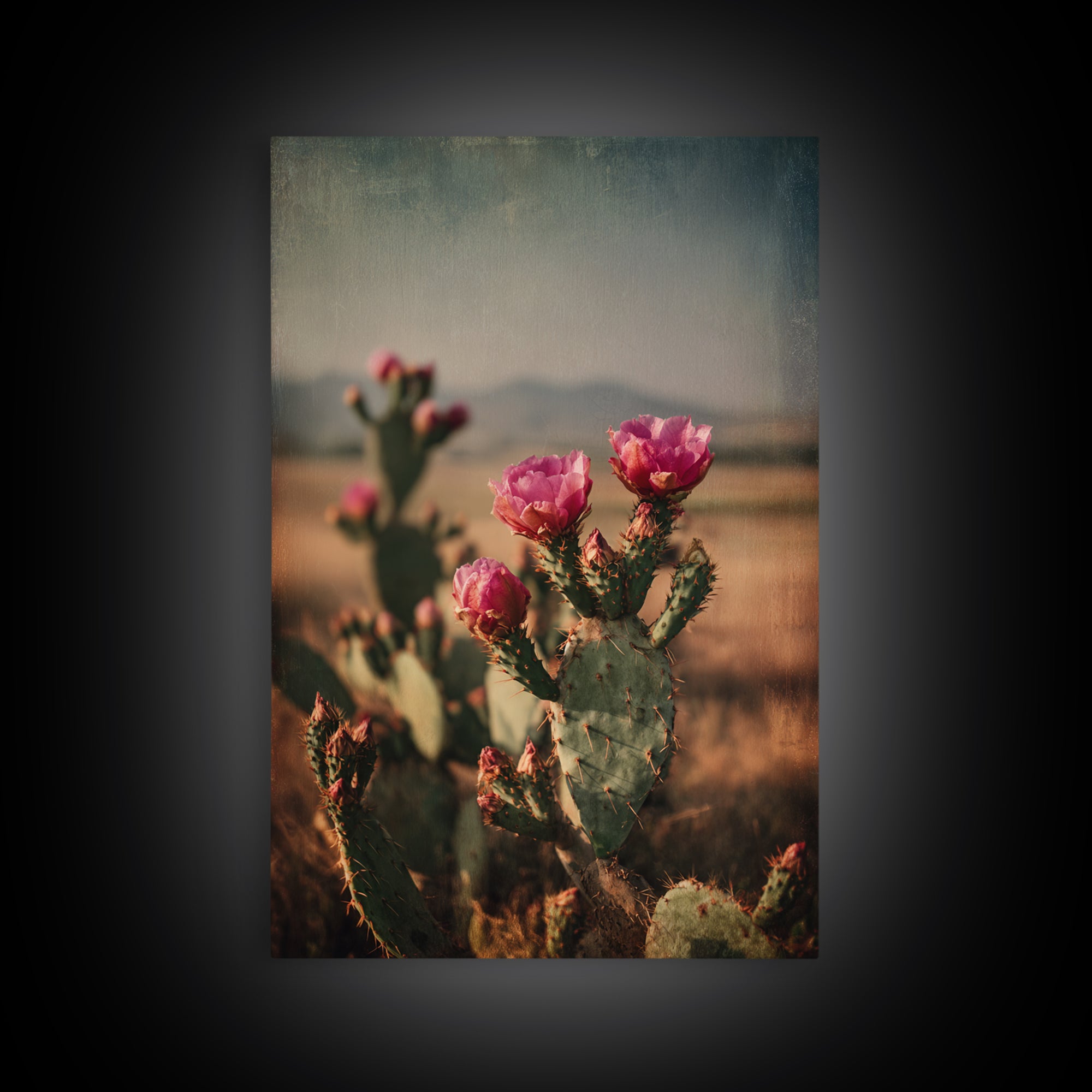 Prickly Pear Cactus Framed Canvas Print, Western Art, Modern Decor, Southwestern Decor, Fine Art, Frontier, Wall Decor, WES-2x3-24