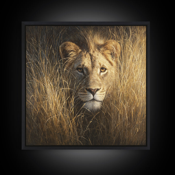 Lion Emerging from Golden Savanna Grass Canvas Print, Wildlife Art, Modern Decor, Living Room Decor, Fine Art, Wild, Home Decor, WIL-1x1-49