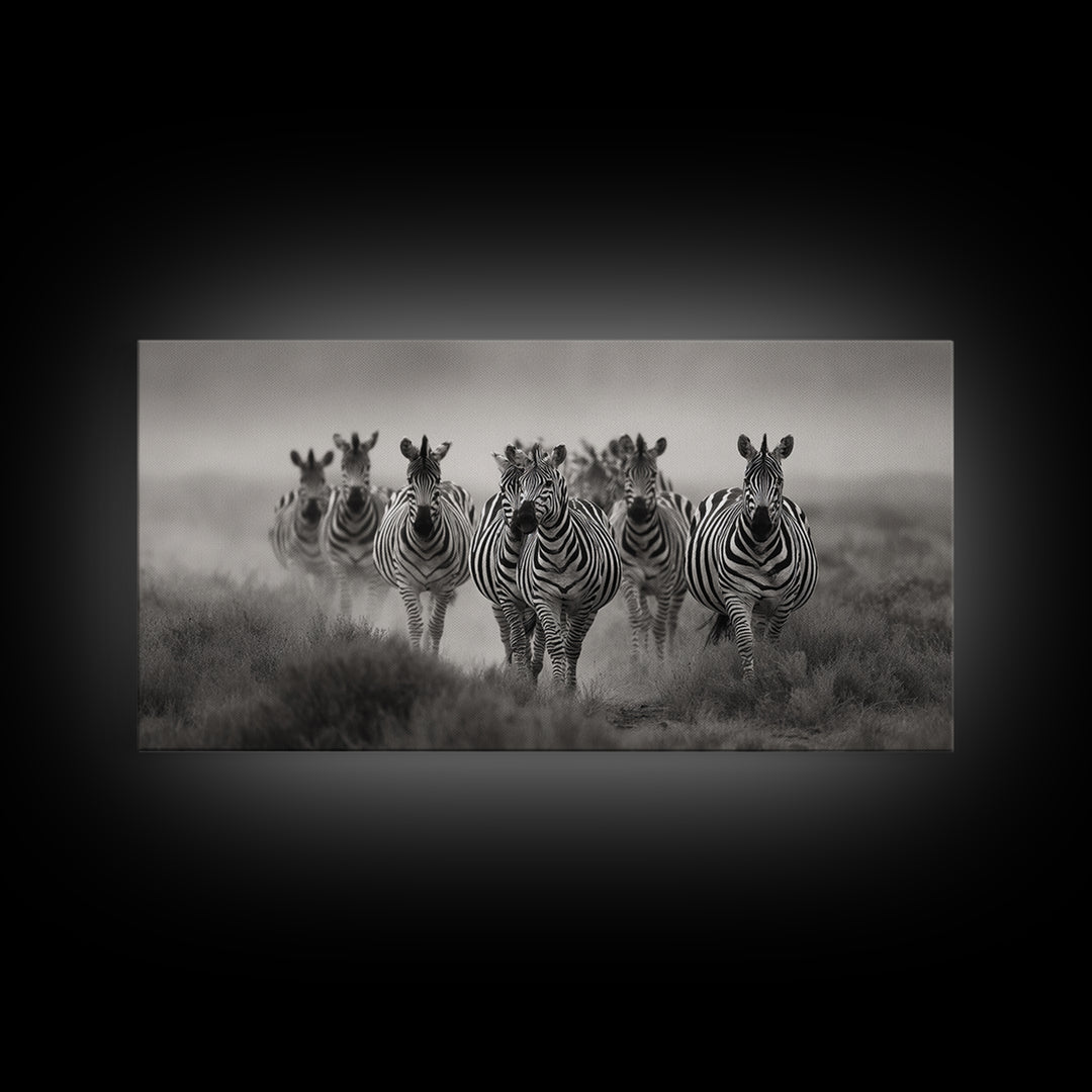 Zebra Herd in Graphic Black and White Framed Canvas Print, Wildlife Art, Boho Wall Decor, Living Room Decor, Fine Art, Wild, WIL-2x1-55