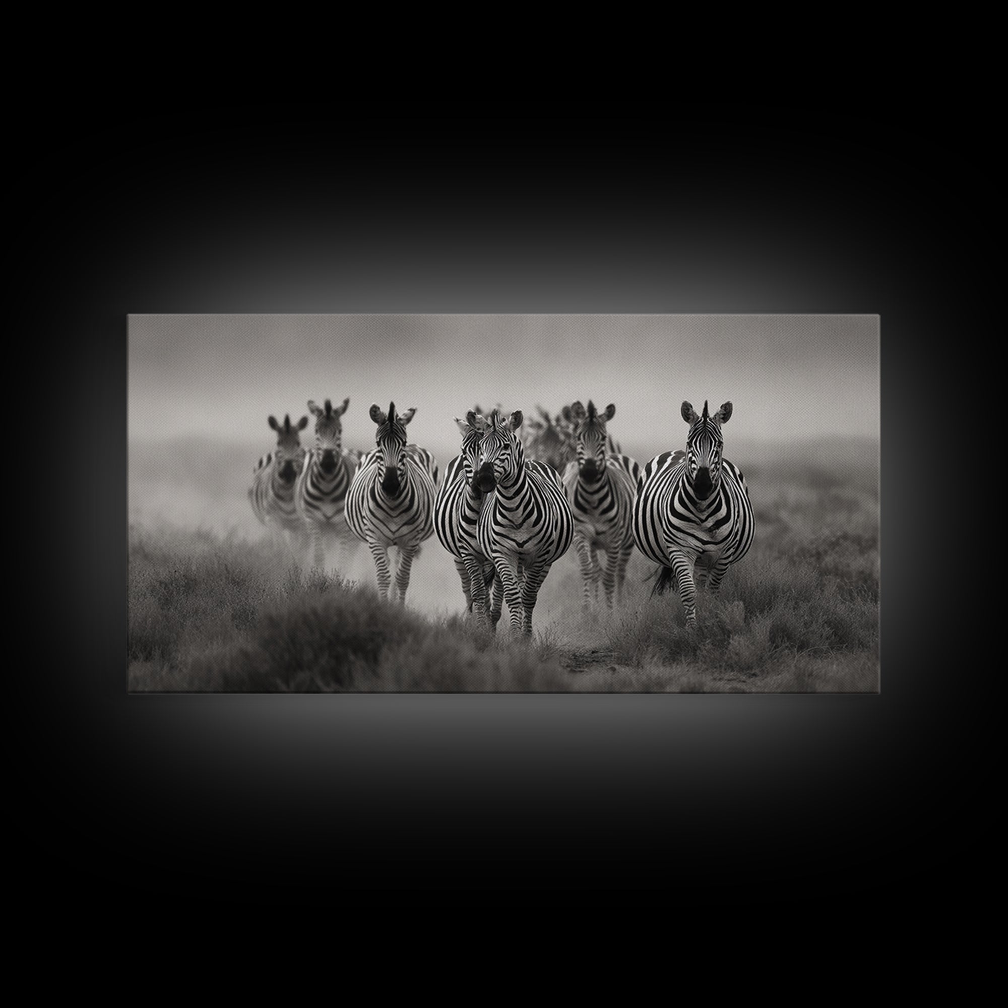 Zebra Herd in Graphic Black and White Framed Canvas Print, Wildlife Art, Boho Wall Decor, Living Room Decor, Fine Art, Wild, WIL-2x1-55