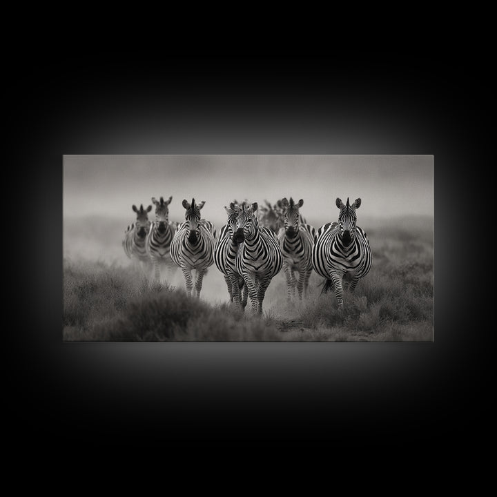Zebra Herd in Graphic Black and White Framed Canvas Print, Wildlife Art, Boho Wall Decor, Living Room Decor, Fine Art, Wild, WIL-2x1-55