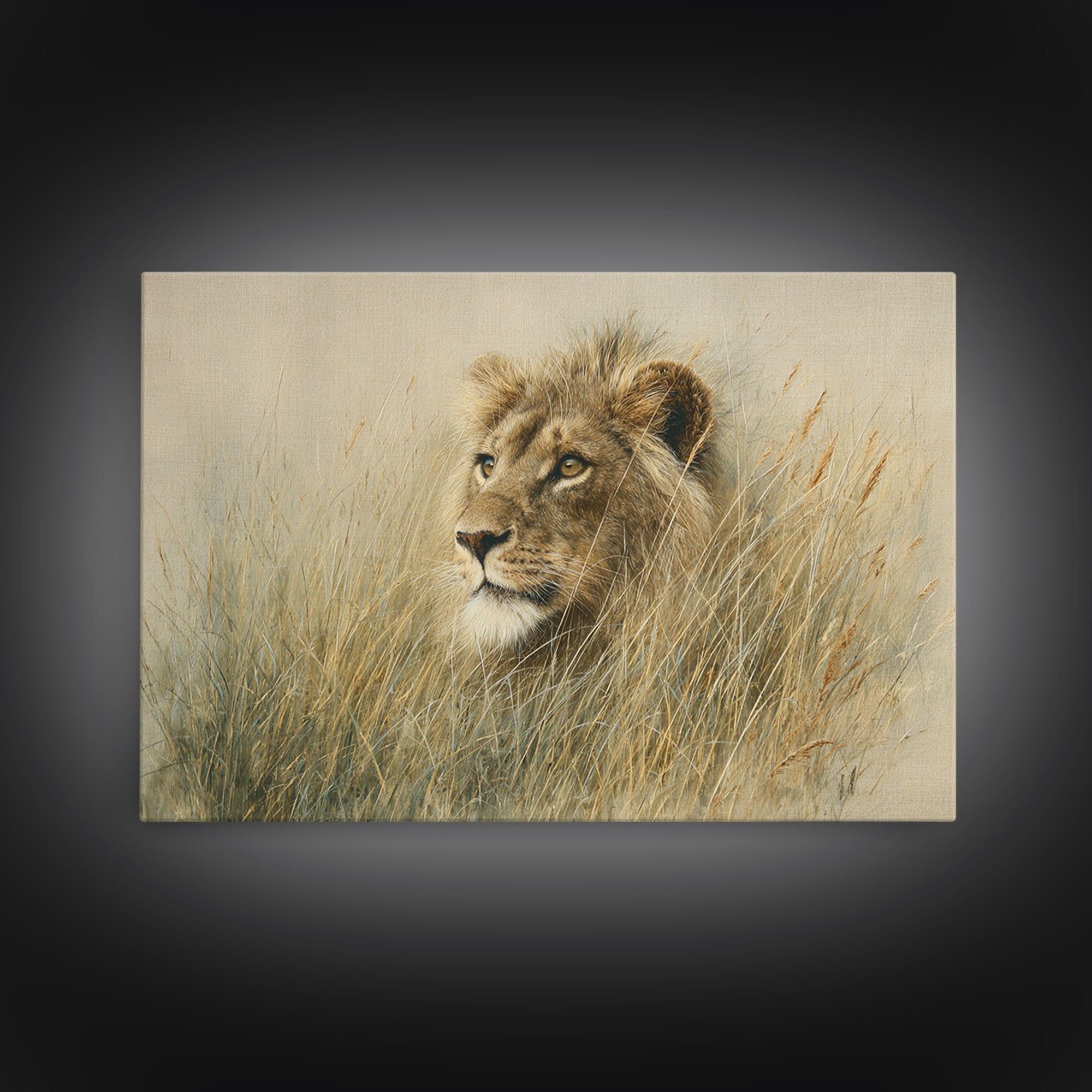 Lion Emerging from Golden Savanna Grass Framed Canvas Print, Wildlife Art, Gallery Decor, Living Room Decor, Fine Art, Wild, WIL-3x2-77