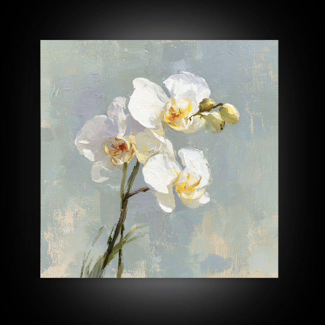 White Orchid on Light Gray Ground Canvas Print, Waiting Room Art, Office Wall Decor, Waiting Room Decor, Fine Art, Calm, WRA-1x1-31