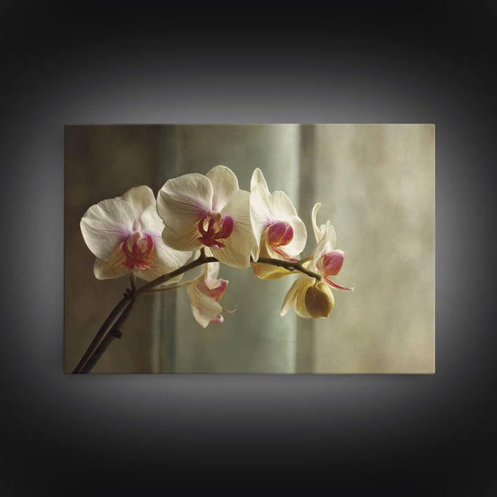 Single Orchid Stem Framed Canvas Print, Zen Art, Extra Large Wall Art, Living Room Decor, Zen, Boho Decor, Luxury Decor, ZEN-3x2-99