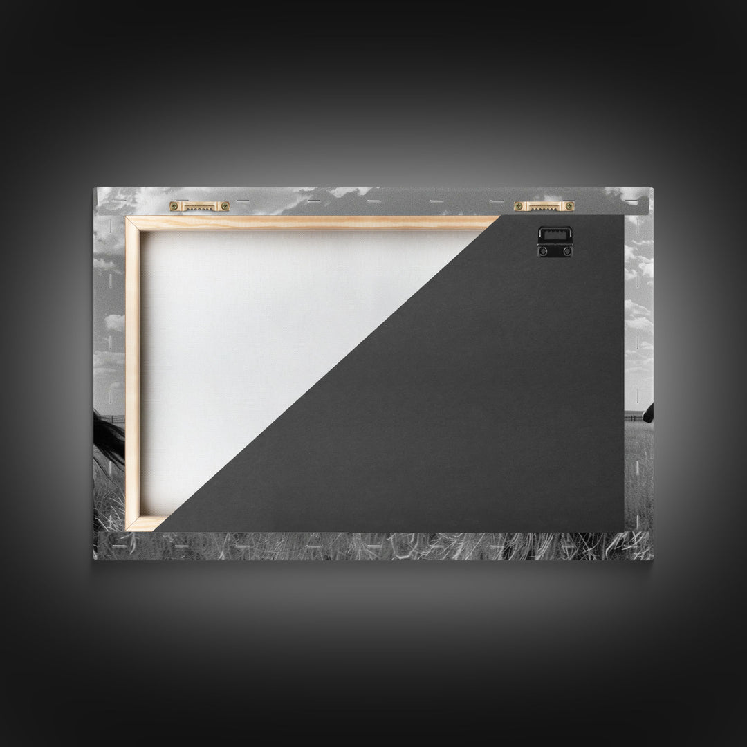 Fine Art Framed Canvas Print, Metal Art, Black & White Photo of Wild Mustangs, Horse Art, American Horses Landscape / Nature / Wildlife Art