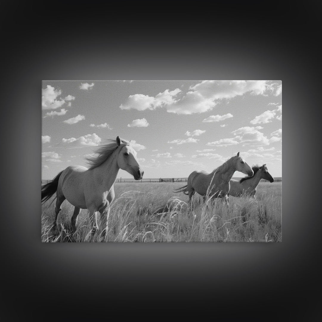 Fine Art Framed Canvas Print, Metal Art, Black & White Photo of Wild Mustangs, Horse Art, American Horses Landscape / Nature / Wildlife Art
