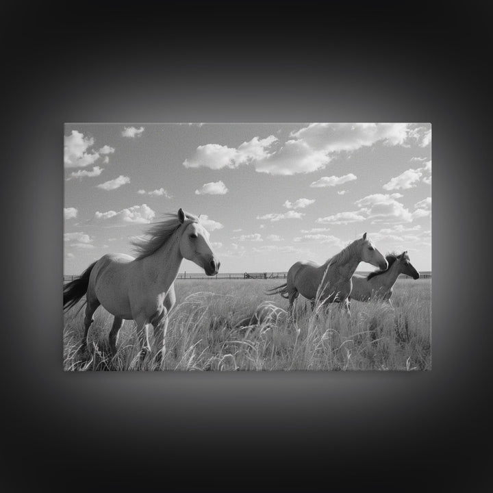 Fine Art Framed Canvas Print, Metal Art, Black & White Photo of Wild Mustangs, Horse Art, American Horses Landscape / Nature / Wildlife Art
