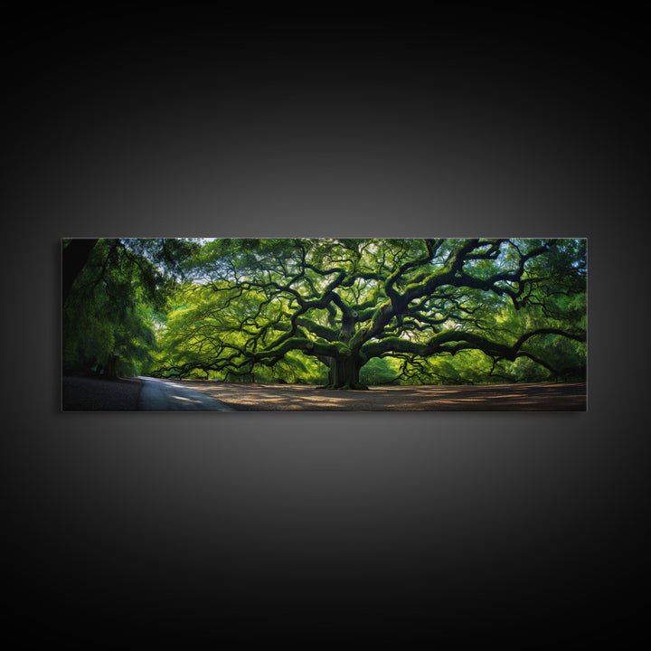 Photographic Panoramic of the Angel Oak in Charleston SC, Sunset Photography, National Park Art, Framed Canvas Print, Landscape Photography