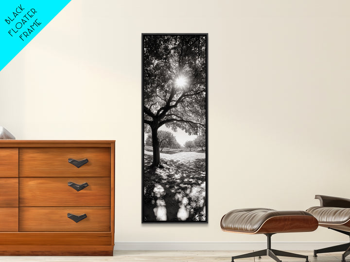 Sunlight Tree, Autumn Glow, Nature Shadowplay, Black White Forest Scene, Canvas Print, Fall Living Room Art, Boho Earthy Wall Decor