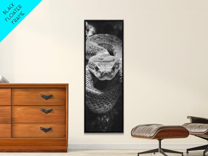 Coiled Snake, Wild Reptile, Black and White Snake, Fierce Eyes, Framed Canvas Print, Nature Lover Wall Art, Masculine Office Decor