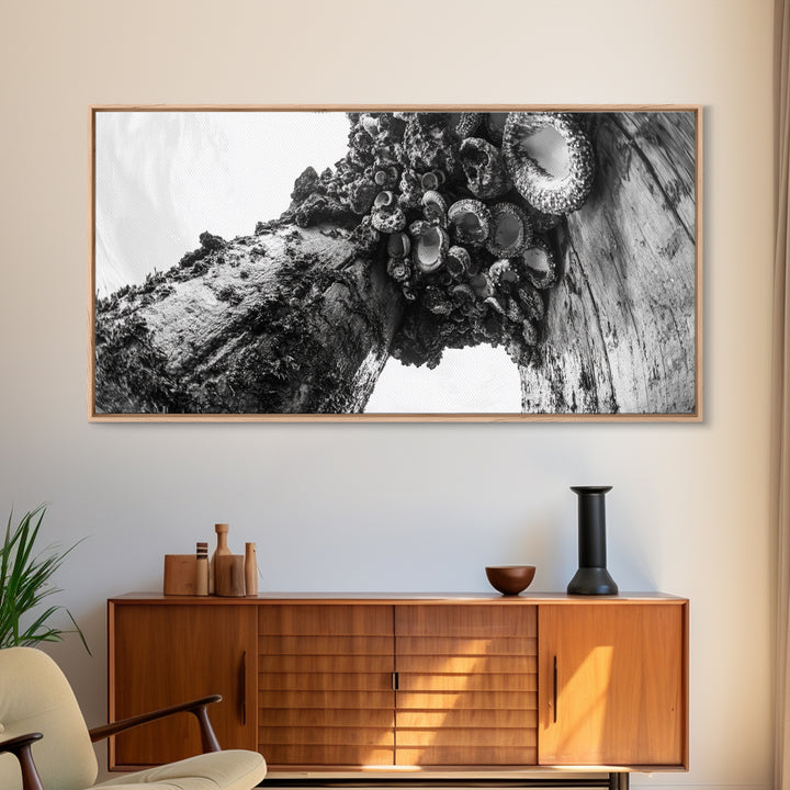 Coastal Texture, Tidepool Abstract, Modern Ocean Nature, Framed Canvas Print, Bathroom Wall Art, Marine Minimalist Photography