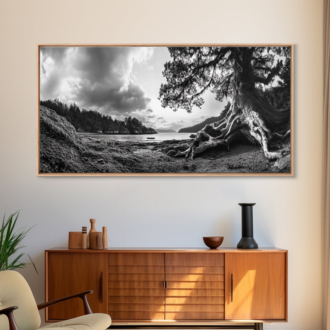 Coastal Tree Roots, Ancient Forest Shore, Pacific Northwest Nature, Moody Black and White Canvas Print, Cabin Wall Art, Woodland Style
