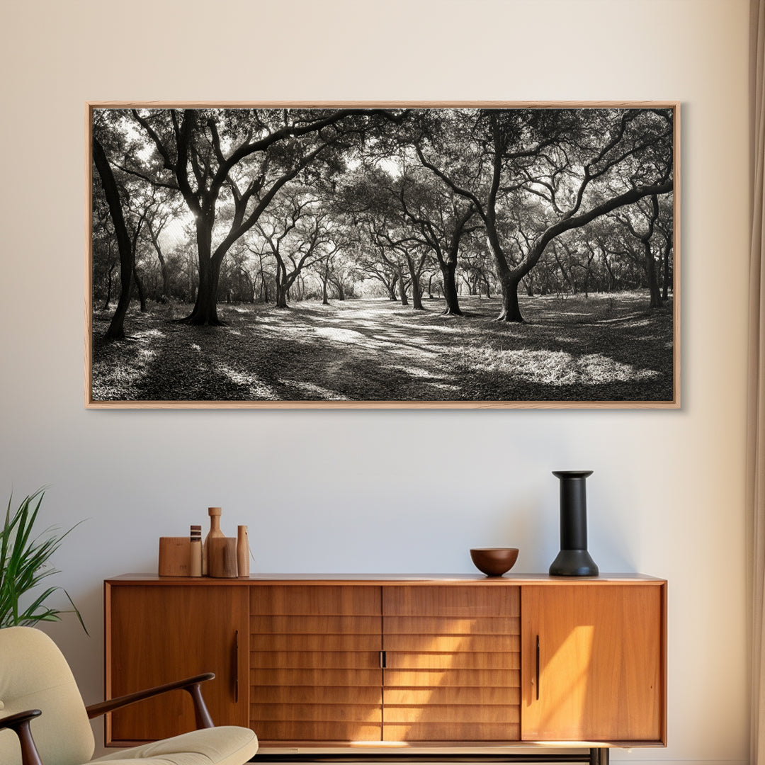 Oak Tree Path, Autumn Forest Glow, Nature Trail Photography, Framed Canvas Print, Hallway Wall Art, Earthy Decor, Woodland Art